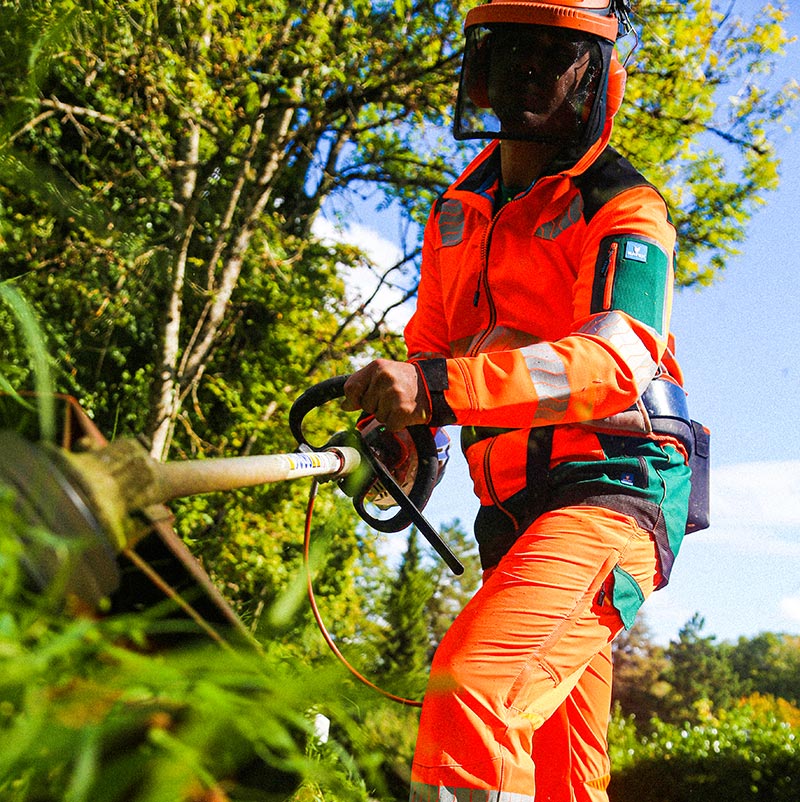 Gärtner auf einem Baum mit Warnschutzkleidung