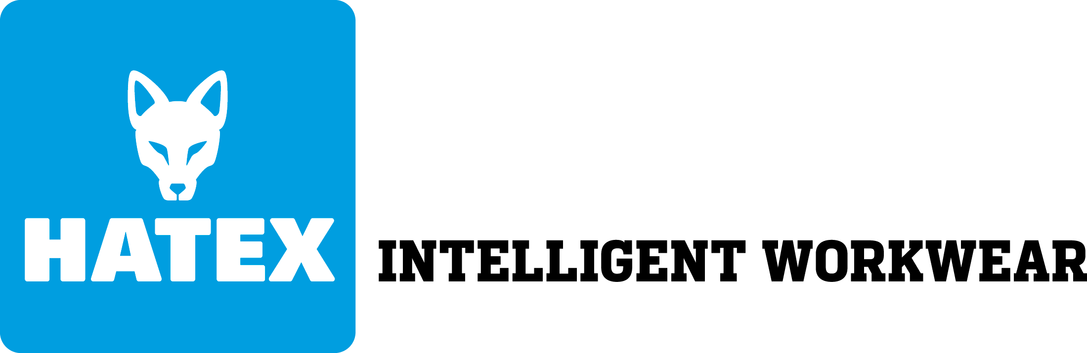Hatex Logo
